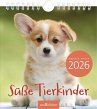Wandkalender Süße Tierkinder 2026 - Bild 1