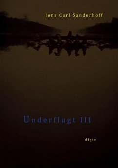 Cover Underflugt III