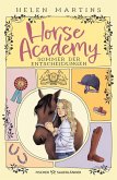 Horse Academy - Sommer der Entscheidungen Horse Academy - Sommer der Entscheidungen