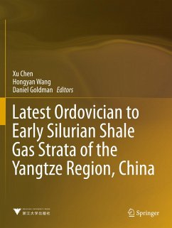 Cover Latest Ordovician to Early Silurian Shale Gas Strata of the Yangtze Region, China