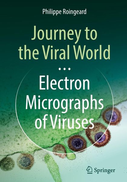 Journey to the Viral World: Electron Micrographs of Viruses
