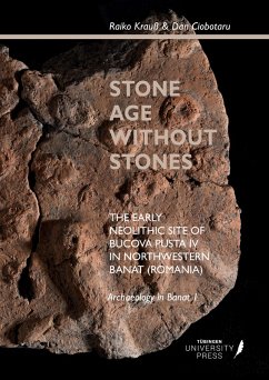 Cover Stone Age without Stones
