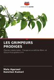 LES GRIMPEURS PRODIGES LES GRIMPEURS PRODIGES