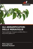 GLI ARRAMPICATORI DELLE MERAVIGLIE GLI ARRAMPICATORI DELLE MERAVIGLIE