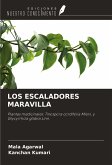 LOS ESCALADORES MARAVILLA LOS ESCALADORES MARAVILLA
