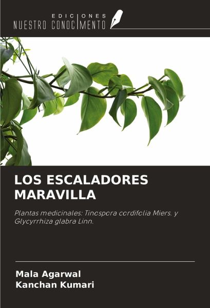 LOS ESCALADORES MARAVILLA