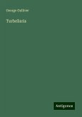 Turbellaria Turbellaria