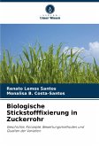 Biologische Stickstofffixierung in Zuckerrohr Biologische Stickstofffixierung in Zuckerrohr