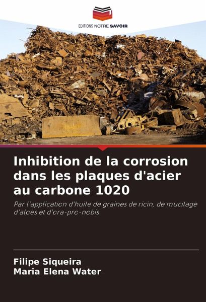 Inhibition de la corrosion dans les plaques d'acier au carbone 1020