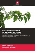 OS ALPINISTAS MARAVILHOSOS OS ALPINISTAS MARAVILHOSOS