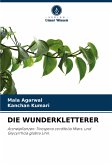 DIE WUNDERKLETTERER DIE WUNDERKLETTERER