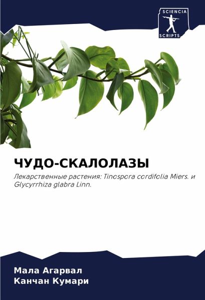 ChUDO-SKALOLAZY ChUDO-SKALOLAZY