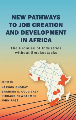Cover New Pathways to Job Creation and Development in Africa