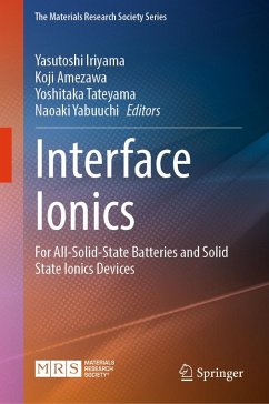 Cover Interface Ionics (eBook, PDF)