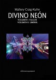 Divino neón (eBook, ePUB)