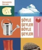 Söyle Seyler Böyle Seyler