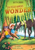 Ein Pferd namens Wonder. Ein Wunder kommt selten allein (Band 2) (eBook, ePUB)