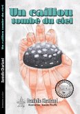 Caillou tombé du ciel (eBook, ePUB) Caillou tombé du ciel (eBook, ePUB)