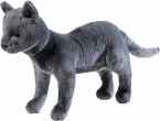 Heunec 621169 - Katze Karajan, Schule der magischen Tiere, Plüschtier, 30 cm