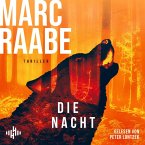 Die Nacht / Art Mayer-Serie Bd.3 (2 MP3-CDs)