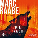 Die Nacht / Art Mayer-Serie Bd.3 (2 MP3-CDs)