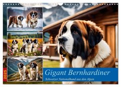 Gigant Bernhardiner (Wandkalender 2025 DIN A3 quer), CALVENDO Monatskalender