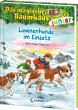 Lawinenhunde im Einsatz / Das magische... - Bild 1