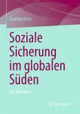 Soziale Sicherung im globalen Süden (eBook, PDF)