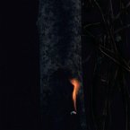 Jump Ship,Sit Lean,Be Still,Stand Tall Jump Ship,Sit Lean,Be Still,Stand Tall