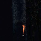 Jump Ship,Sit Lean,Be Still,Stand Tall