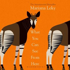 What You Can See From Here (MP3-Download) - Leky, Mariana