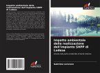 Impatto ambientale della realizzazione dell'impianto SHPP di Ludesa