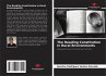 The Reading Constitution in Rural... - Bild 1
