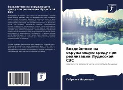 Cover Vozdejstwie na okruzhaüschuü sredu pri realizacii Ludesskoj SJeS