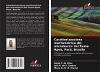 Caratterizzazione morfometrica dei microbacini del fiume Apeú, Pará, Brasile Caratterizzazione morfometrica dei microbacini del fiume Apeú, Pará, Brasile
