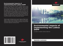 Environmental impacts of implementing the Ludesa SHPP - Lorenzon, Gabriela