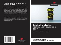 Cover Criminal analysis of homicides in Brusque in 2017
