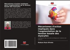 Mécanismes d'action impliqués dans l'augmentation de la tension basale des myocytes - Ruiz Olivoto, Robson