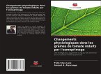 Changements physiologiques dans les graines de tomate induits par l'osmoprimage