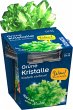 KOSMOS 656157 - Grüne Kristalle... - Bild 1