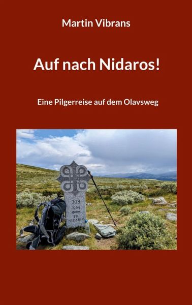 Auf nach Nidaros! (eBook, ePUB)