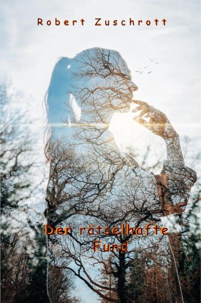 Der rätselhafte Fund (eBook, ePUB)