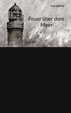 Feuer über dem Meer (eBook, ePUB) - Welkind, Stiga