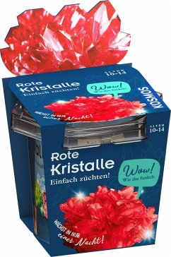 Cover KOSMOS 656164 - Rote Kristalle einfach züchten, Experimentierkasten