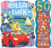 Ibilgailuak