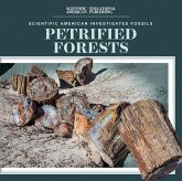 Petrified Forests Petrified Forests