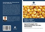 Auswirkungen der Pflanzendichte auf den Maisanbau Auswirkungen der Pflanzendichte auf den Maisanbau