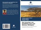 Die Ursachen von Konflikten Geri und Borena, Äthiopien Die Ursachen von Konflikten Geri und Borena, Äthiopien