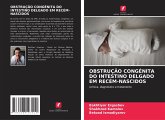 OBSTRUÇÃO CONGÉNITA DO INTESTINO DELGADO EM RECÉM-NASCIDOS OBSTRUÇÃO CONGÉNITA DO INTESTINO DELGADO EM RECÉM-NASCIDOS
