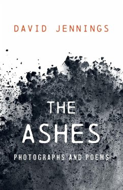 The Ashes The Ashes